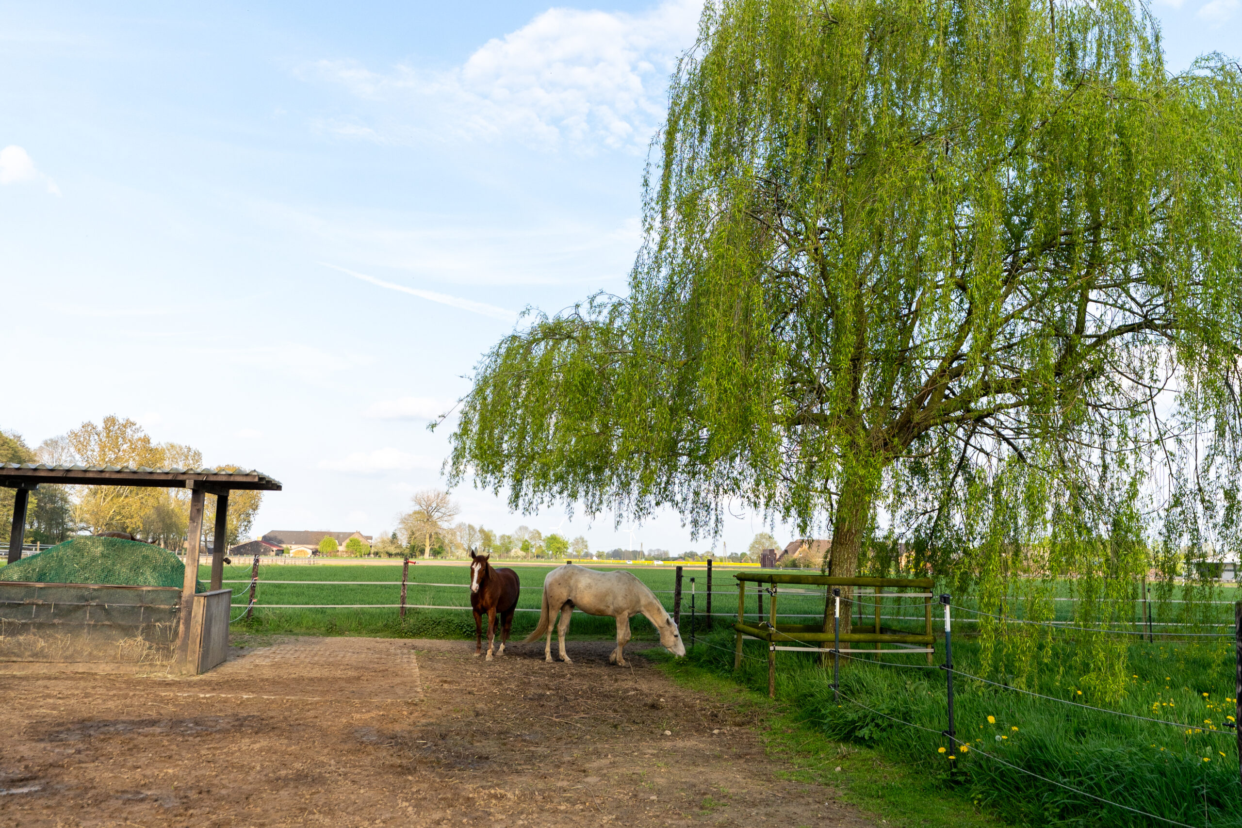 2er Offenstall mit Trail am Nobbenhof